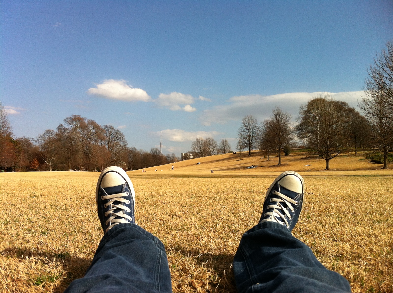 person wearing blue-and-white Converse All Star shoes while sitting on brown grass photo at daytime