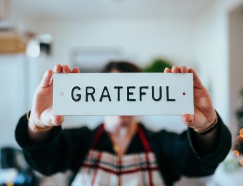 Day In, Day Out Gratitude