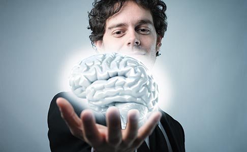 brain