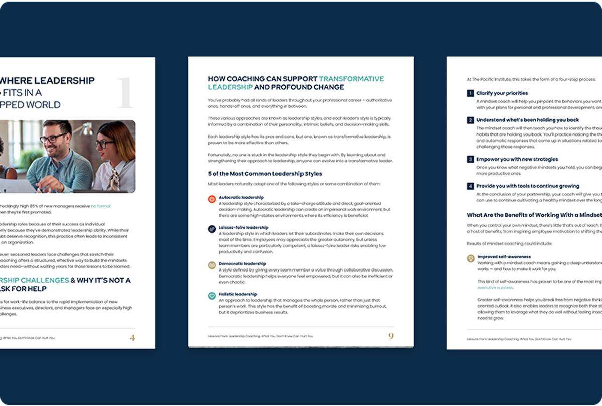 Lessons from Leadership Coaching eBook Preview