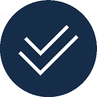 checkmarks icon