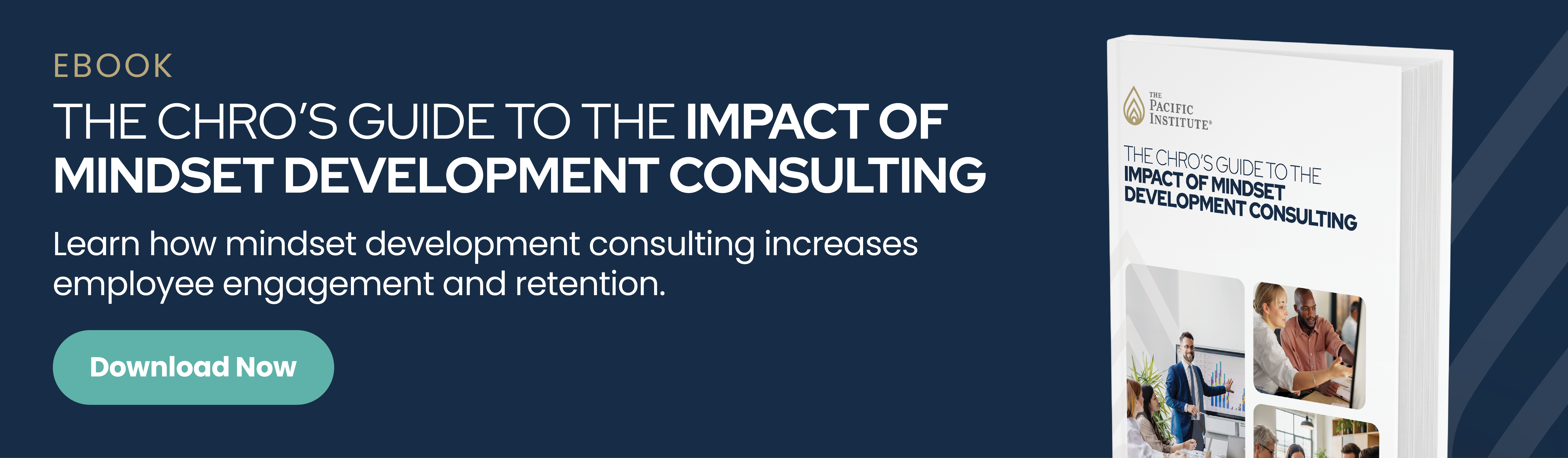The CHRO’s Guide to the Impact of Mindset Development Consulting