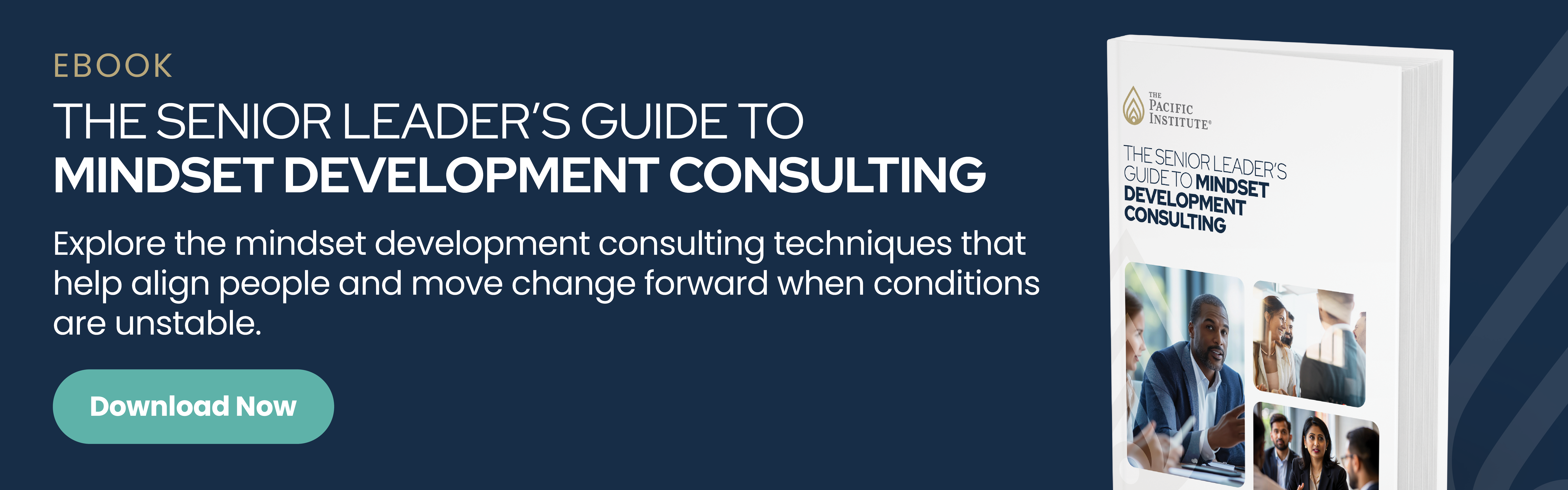 The Senior Leader’s Guide to Mindset Development Consulting